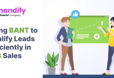 Using BANT to Qualify Leads Efficiently in B2B Sales